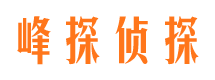 额济纳旗市场调查